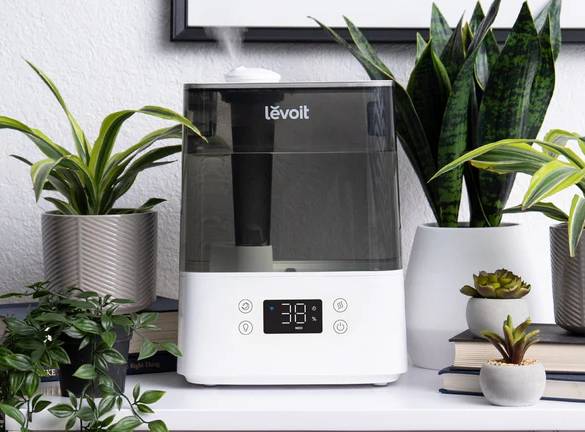 Humidificateurs Levoit