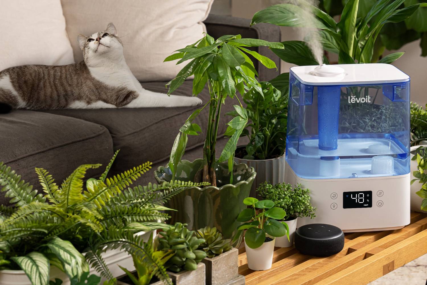 Levoit humidificateur d'air